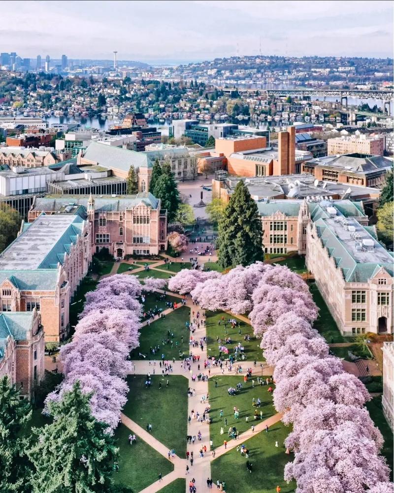 加州大学圣克鲁兹分校